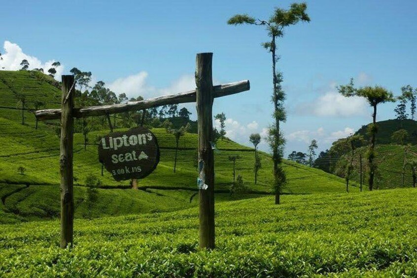 Lipton's Seat