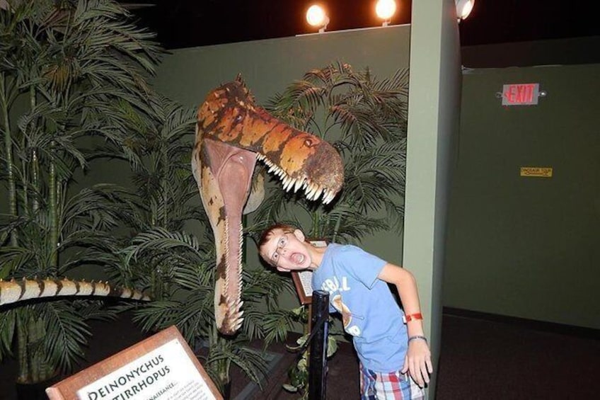 dinosaur museum sydney tickets