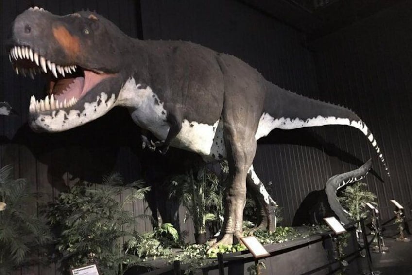 Branson Dinosaur Museum Admission Ticket