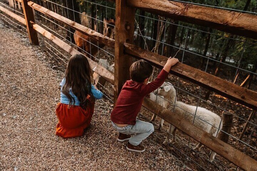 Shepherd of the Hills Farm & Playland