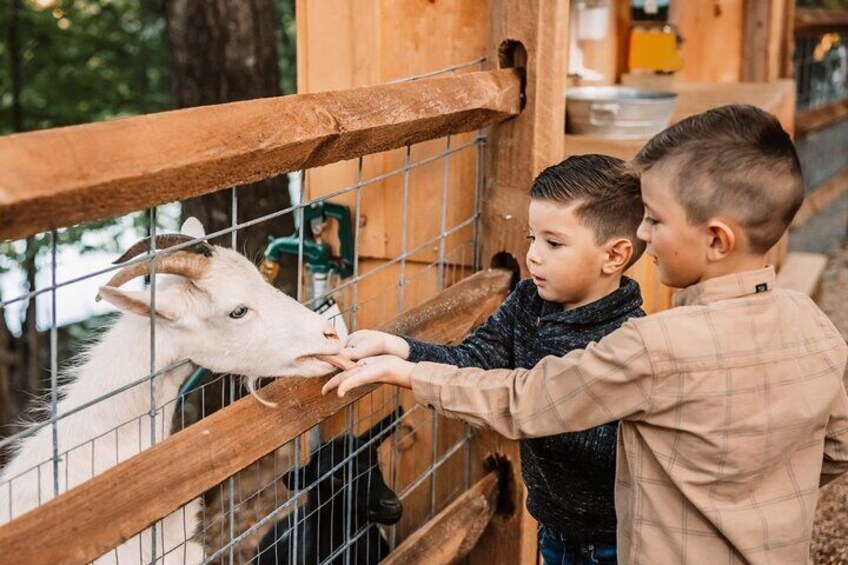 Shepherd of the Hills Farm & Playland