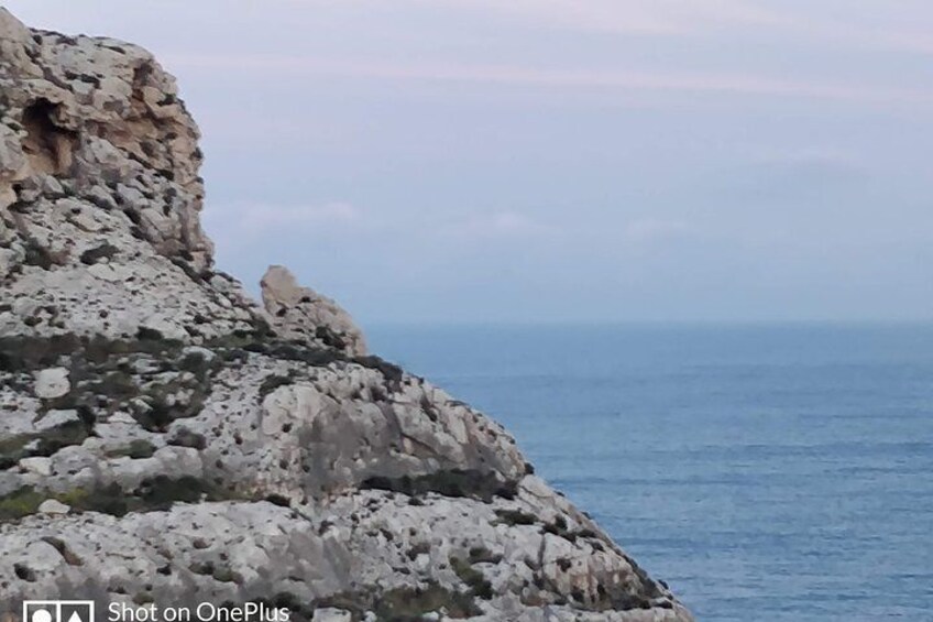 Munqar in Zurrieq