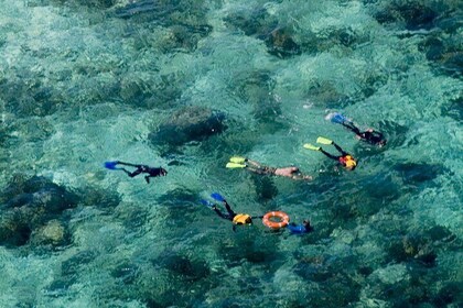 Ocean Freedom Great Barrier Reef Personal Luxury Snorkel & Dive Cruise, Cai...