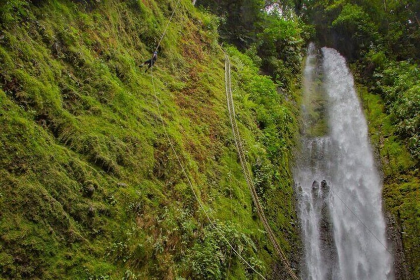 AMA Rappel Mundo Aventura Zip Line Rappel HorseBR & Maleku Villa