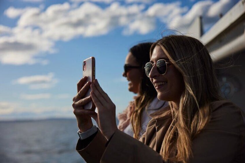 Sydney Whale-Watching Cruise Including Lunch or Breakfast