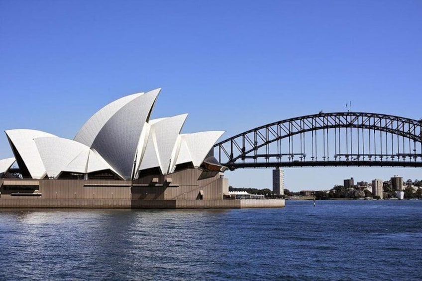 Sydney Whale-Watching Cruise Including Lunch or Breakfast