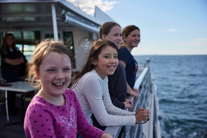Sydney Whale-Watching Cruise Including Lunch or Breakfast