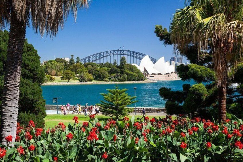 Take in amazing views of Sydney's iconic sights and fantastic locations to take those perfect holiday snap shots!