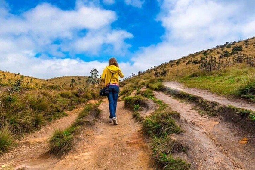 Nature trekking - Horton Plains National Park