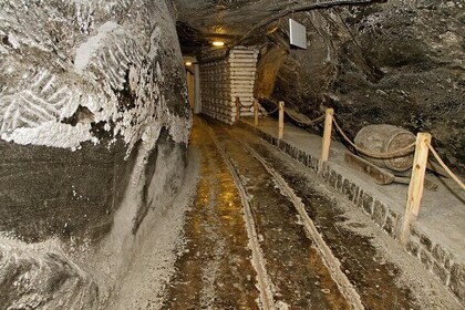 Auschwitz and Wieliczka Salt Mine One Day Private Tour with 4Travellers