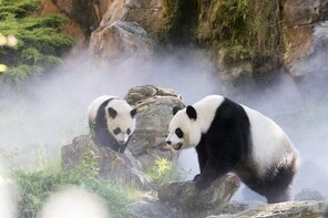 ZooParc de Beauval Entrance Ticket