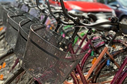 Malmo City Bike Rental