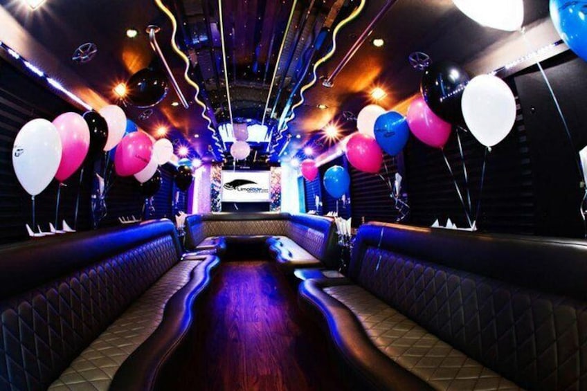 Party Bus & Dancer for 3 hours in Vilnius