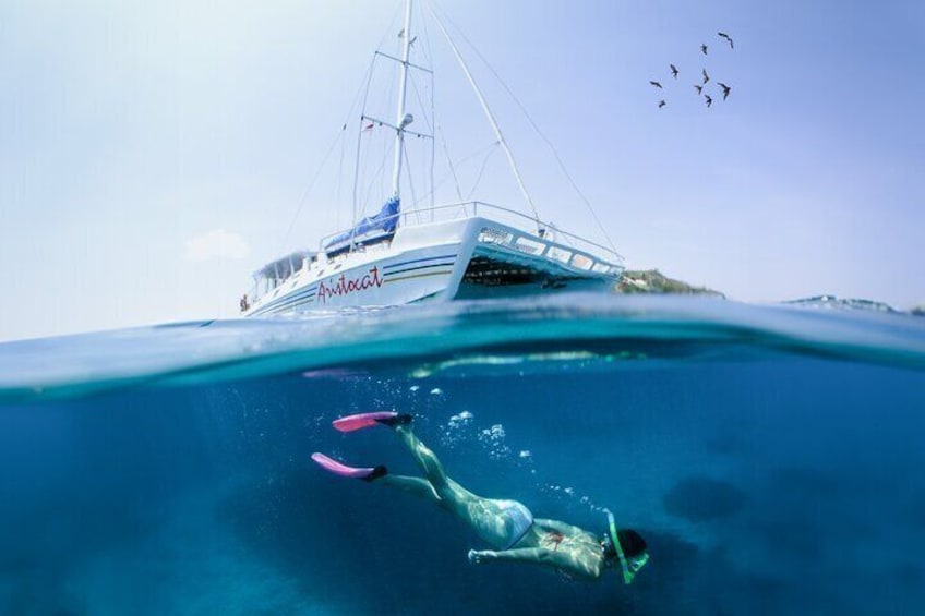 Aristocat Sailing Cruise: Snorkeling at Nusa Lembongan