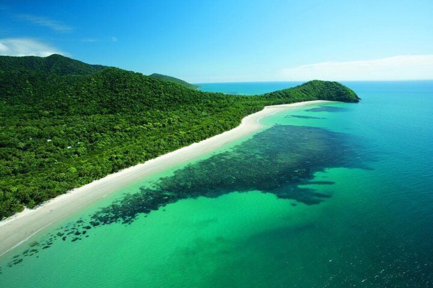 Where the Rainforest meets the reef