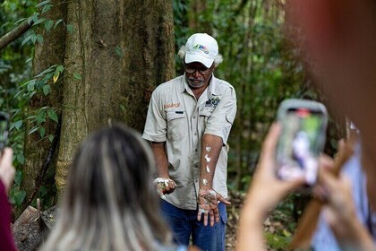 Regenwald-Tagesausflug: Cape Tribulation, Mossman Gorge und Daintree ab Cai...