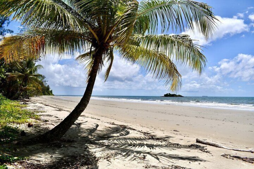 Cape Tribulation, Mossman Gorge, and Daintree Rainforest Day Trip