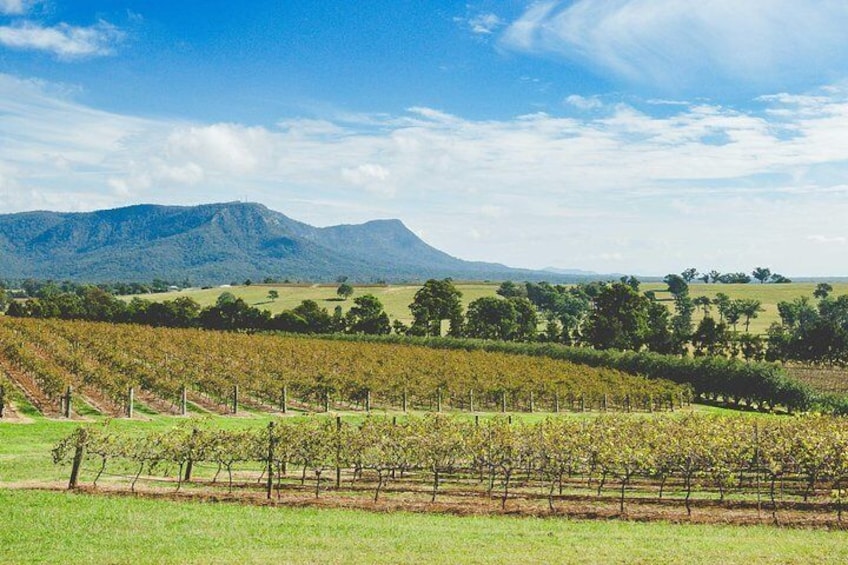 Hunter Valley panorama