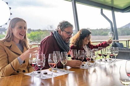 Circuit de dégustation de vins et de fromages en petit groupe dans la Hunte...