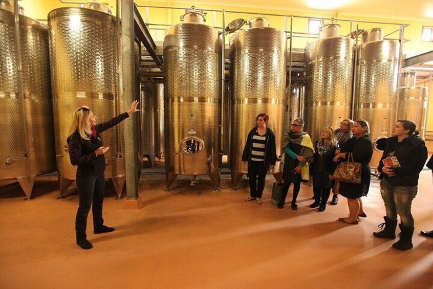 Small-Group Hunter Valley Wine and Cheese Tasting Tour