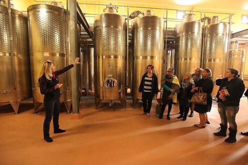 Small-Group Hunter Valley Wine and Cheese Tasting Tour