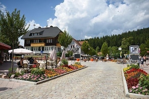 Private trip from Zurich to the Black Forest in Germany & Swiss Rhine Falls