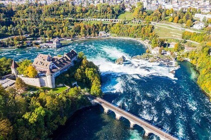 Private trip from Zurich to the Black Forest in Germany & Swiss Rhine Falls...