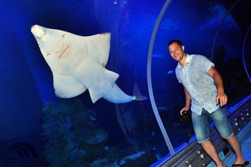 Skip the Line: Hurghada Grand Aquarium Entrance Ticket