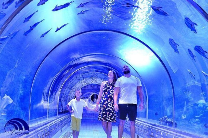 Hurghada Grand Aquarium tunnel