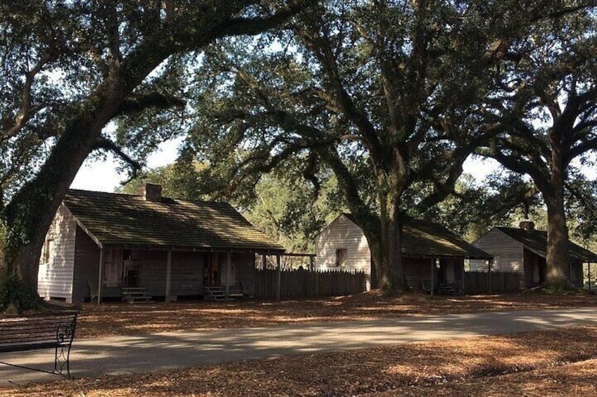 Oak Alley Plantation and New Orleans City Tour