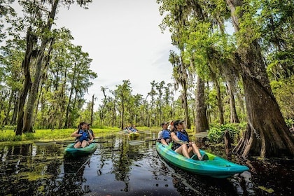 Manchac Magic Kayak Swamp Tour in kleiner Gruppe mit lokalem Guide