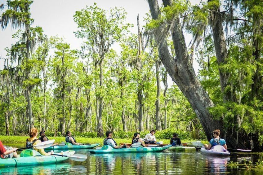 Bayou Tour in Kayaks