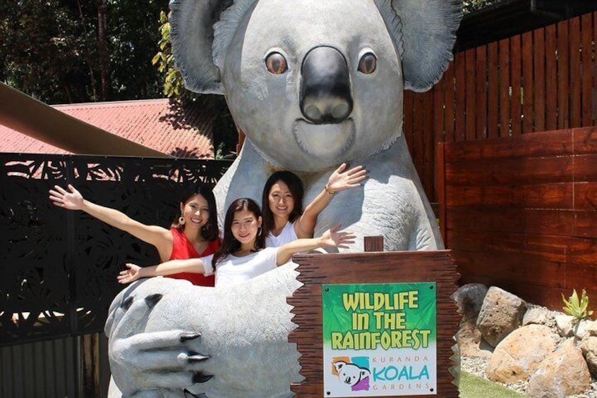 Kuranda Koala Gardens and Birdworld Admission Tickets