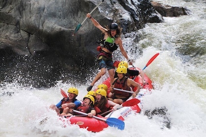 Rafting en eaux vives d'une demi-journée au parc national de Barron Gorge a...