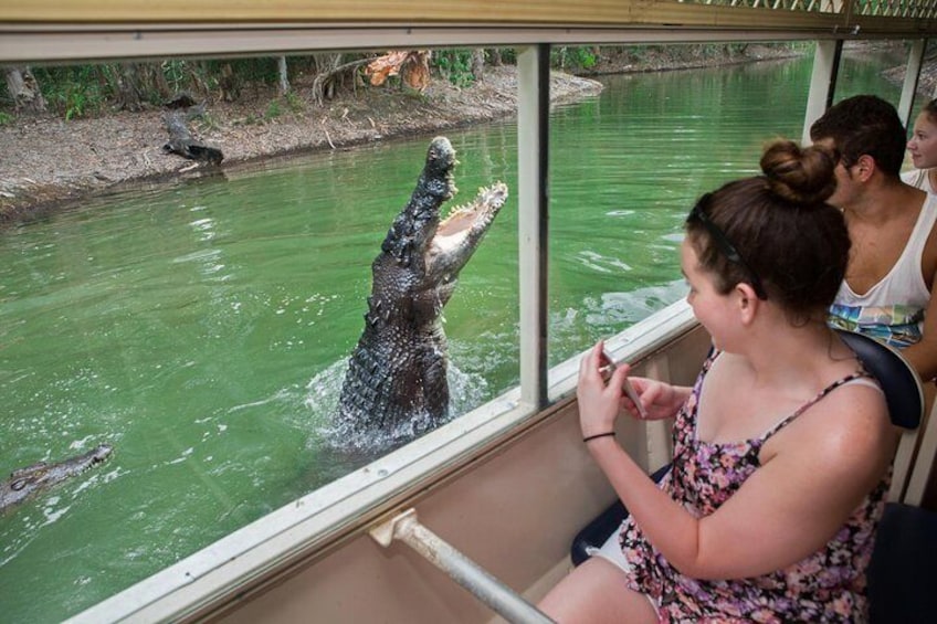 Boat Trip with Croc Jumping