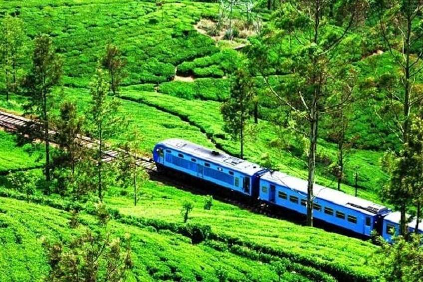 Train ride Sri Lanka