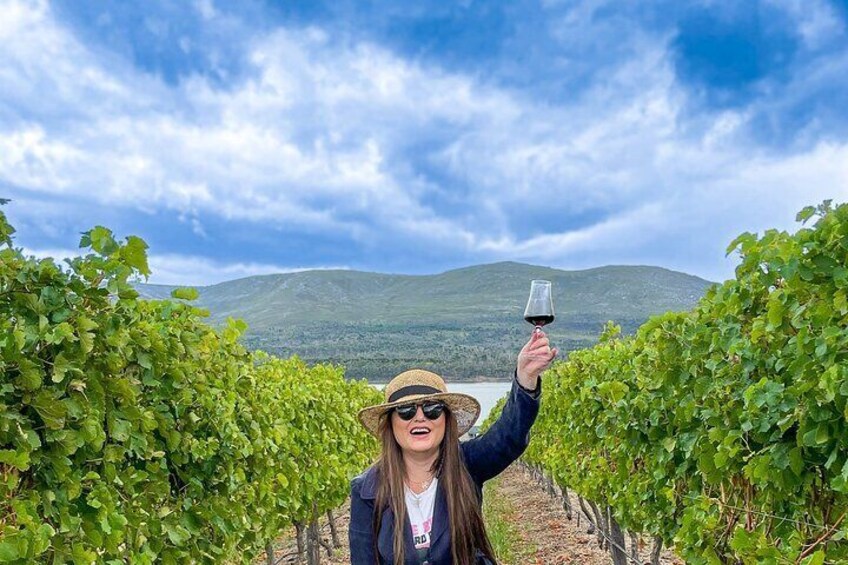Hemel en Aarde winelands wine tasting