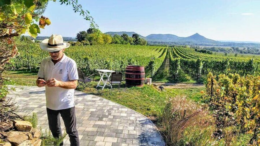 Lake Balaton private wine tasting and sightseeing from Budapest