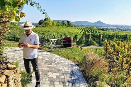 Lake Balaton private wine tasting and sightseeing from Budapest