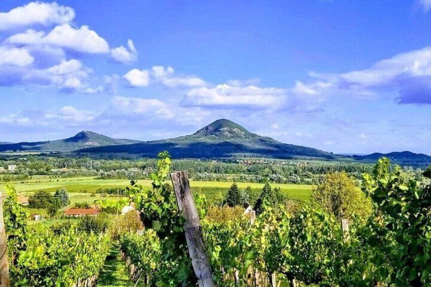 Wine tasting at Lake Balaton with private transport from Budapest 