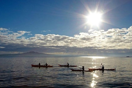 Sunset kayak tour to Rangitoto Island