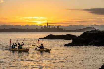 Sunset kajaktur til Rangitoto Island