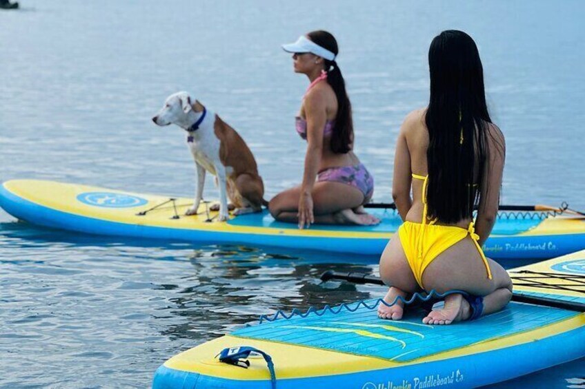 SUNRISE TOUR PaddleBoard