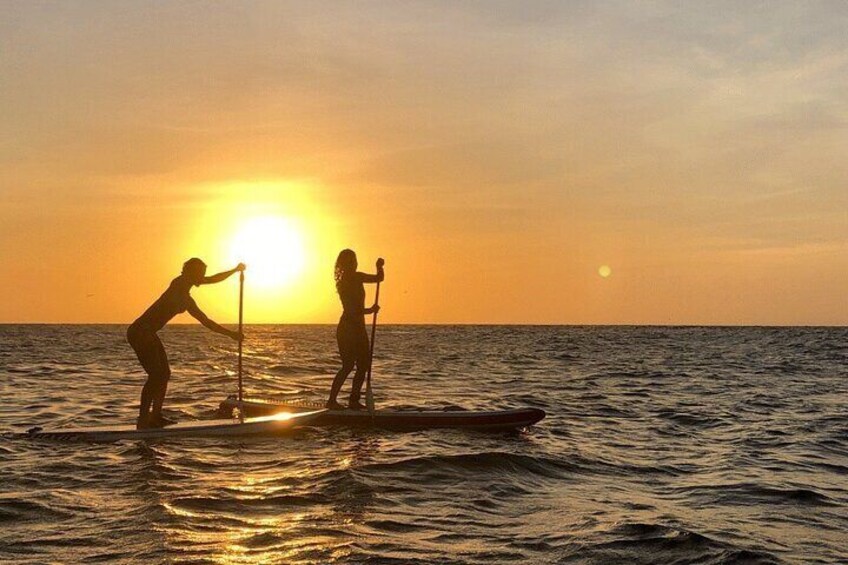 Day Tour Paddleboard