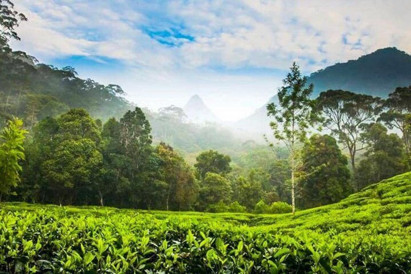 Nuwara Eliya Highlands from Kandy