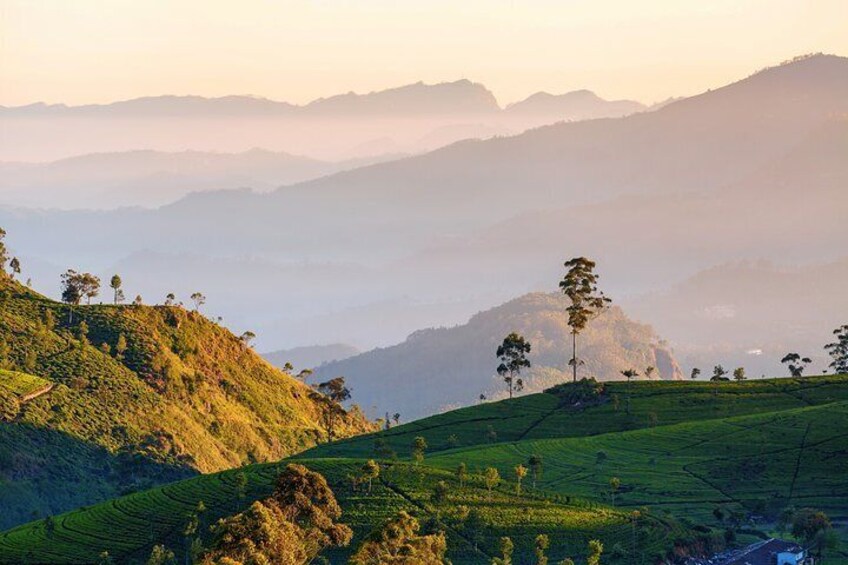 Nuwara Eliya Highlands from Kandy