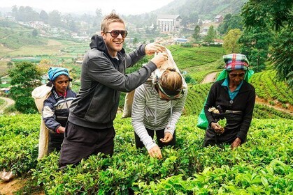 Nuwara Eliya Highlands from Kandy