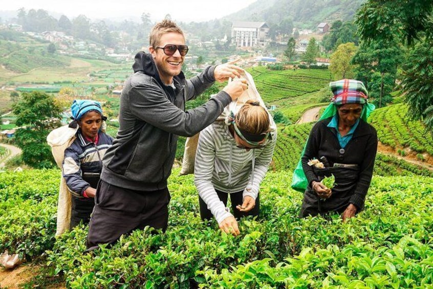 Nuwara Eliya Highlands from Kandy