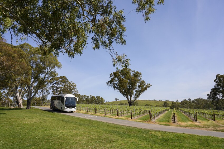 Barossa and Adelaide Hills Highlights