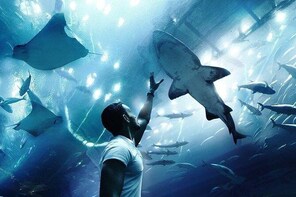Dubai Aquarium and Underwater Zoo in Dubai Mall